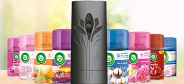 Descubra como escolher a melhor fragrância para a sua casa