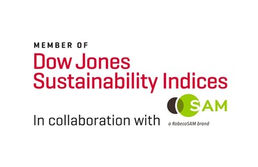 Dow Jones Sustainability Indices logo